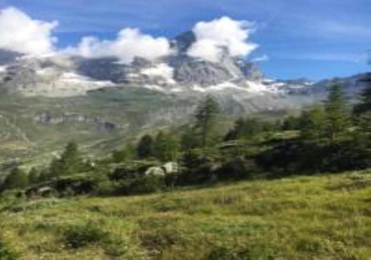 布勒伊-切尔维尼亚Casa Cervinia Shuss 2公寓 外观 照片