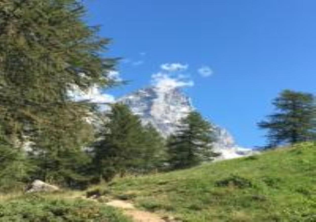 布勒伊-切尔维尼亚Casa Cervinia Shuss 2公寓 外观 照片