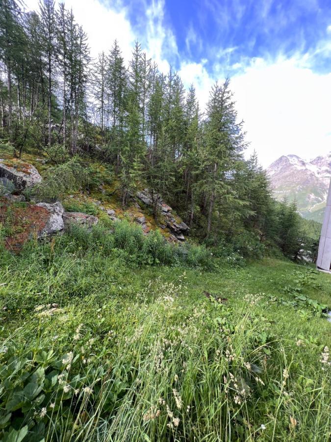 布勒伊-切尔维尼亚Casa Cervinia Shuss 2公寓 外观 照片